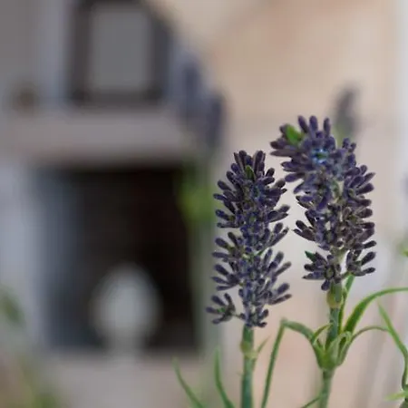 Masseria Belfiore 住宿加早餐酒店